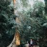 Plataran Canggu Wedding venue 