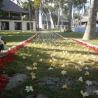 Alila Manggis - Bali Wedding Venue 