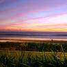 Bali Mandira Beach Resort - Venue Wedding di Bali