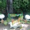 Balinese Blessing 