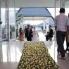 Flamingo Chapel - Bali Wedding Venue 