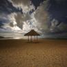 grand hyatt beach 