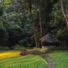 Walkaway to bale the Arsana Estate