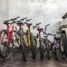 Villa Mana Family Bike Ride