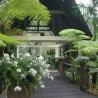 Wanasmara Chapel - Bali Wedding Venue 