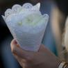 Intercontinental Bali Resort - Flower Petal on A Cone