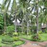 jayakarta landscape 