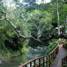 Maya Resort Ubud - Resort Wedding