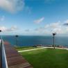  the edge view