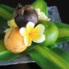 fruit arrangement in the room 